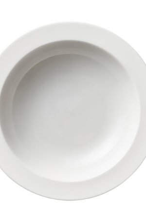 Arabia 24h syvä lautanen reunalla Ø 22 cm