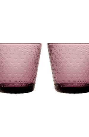 Iittala Tundra juomalasi 29 cl 2-pakkaus Kanerva