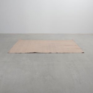 Dixie PET matto beige 160 x 230 cm