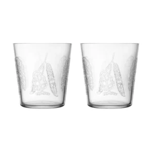 Iittala Taika Sato juomalasi 38 cl 2pakkaus