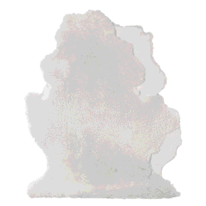 Lampaantalja, tuplakoko