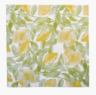 Citronella ruokaservetit moniväri/keltainen