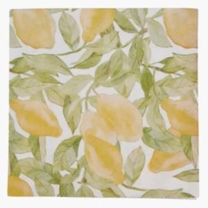 Citronella kahviservetit moniväri/keltainen