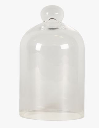 Glass kupu läpikuultava