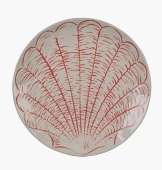 Shell lautanen koralli