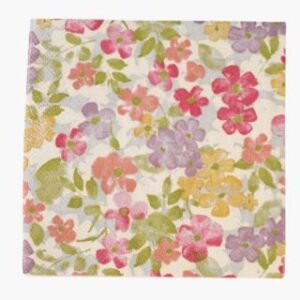 Juna paperiservetit moniväri