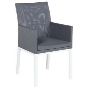 Monteroni Käsinojatuoli - Harmaa/Valkoinen