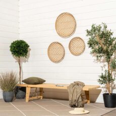Ecofurn daybed lehtikuusi
