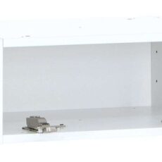 Kokoa runko kippisaranoilla 50x20 cm valkoinen