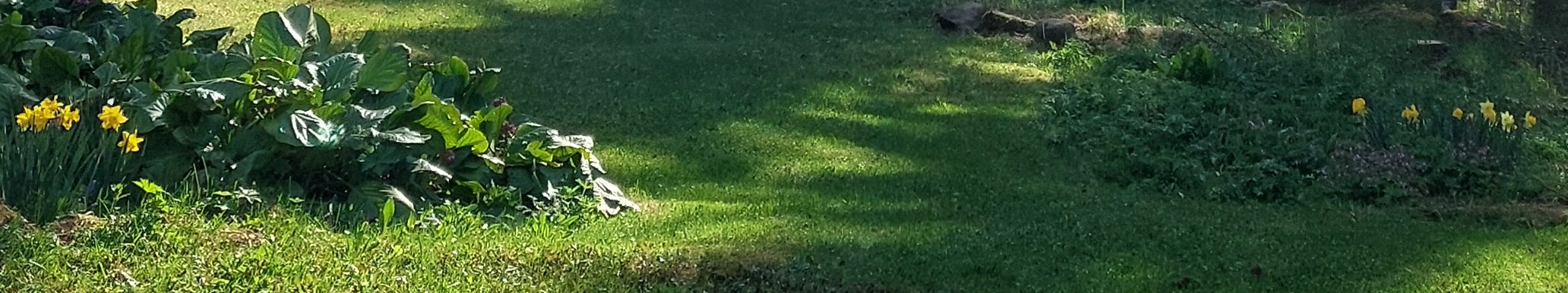 Pihan kevättyöt - Opas kevään puutarhatöihin