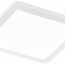 Trio Camillus LED plafondi/seinävalaisin 30x30 cm valkoinen