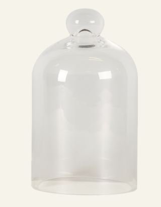 Glass kupu läpikuultava