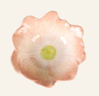 mei-kulho-koralli
