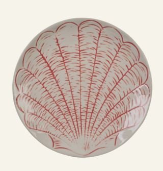 shell-lautanen-koralli