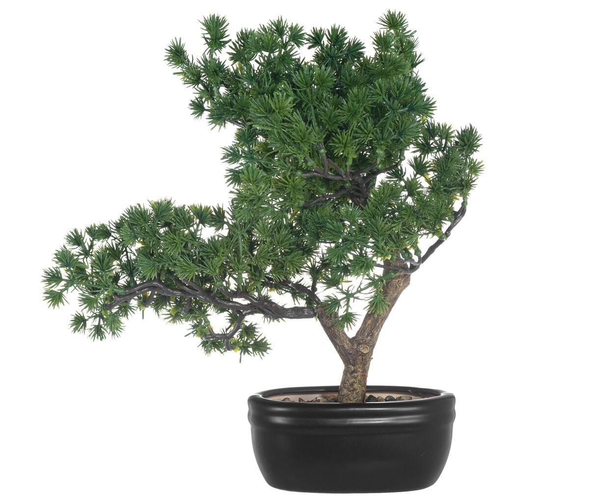 4living-bonsai-manty-tekokasvi