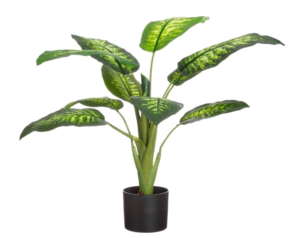 4living-kirjovehka-ruukussa-90-cm