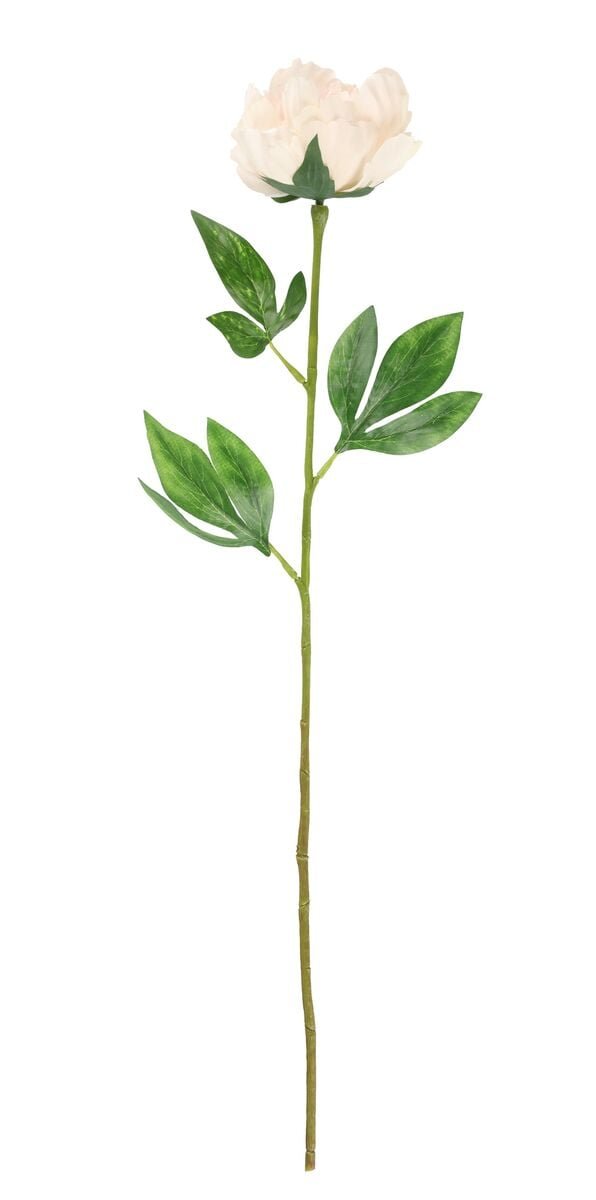 4living-pioni-60-cm-kerma