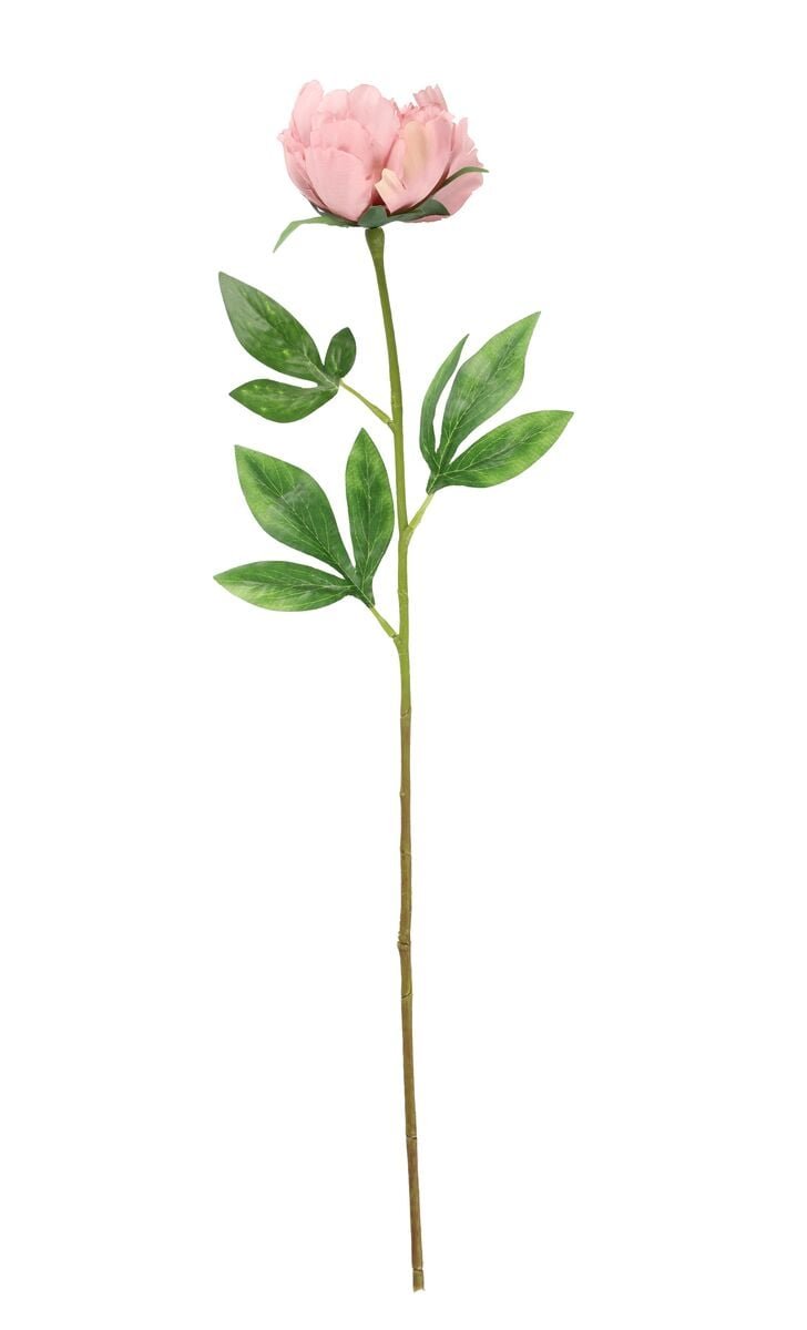 4living-pioni-60-cm-vaalea-malva