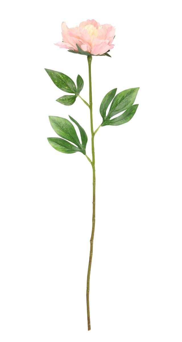 4living-pioni-60-cm-vaaleanpunainen