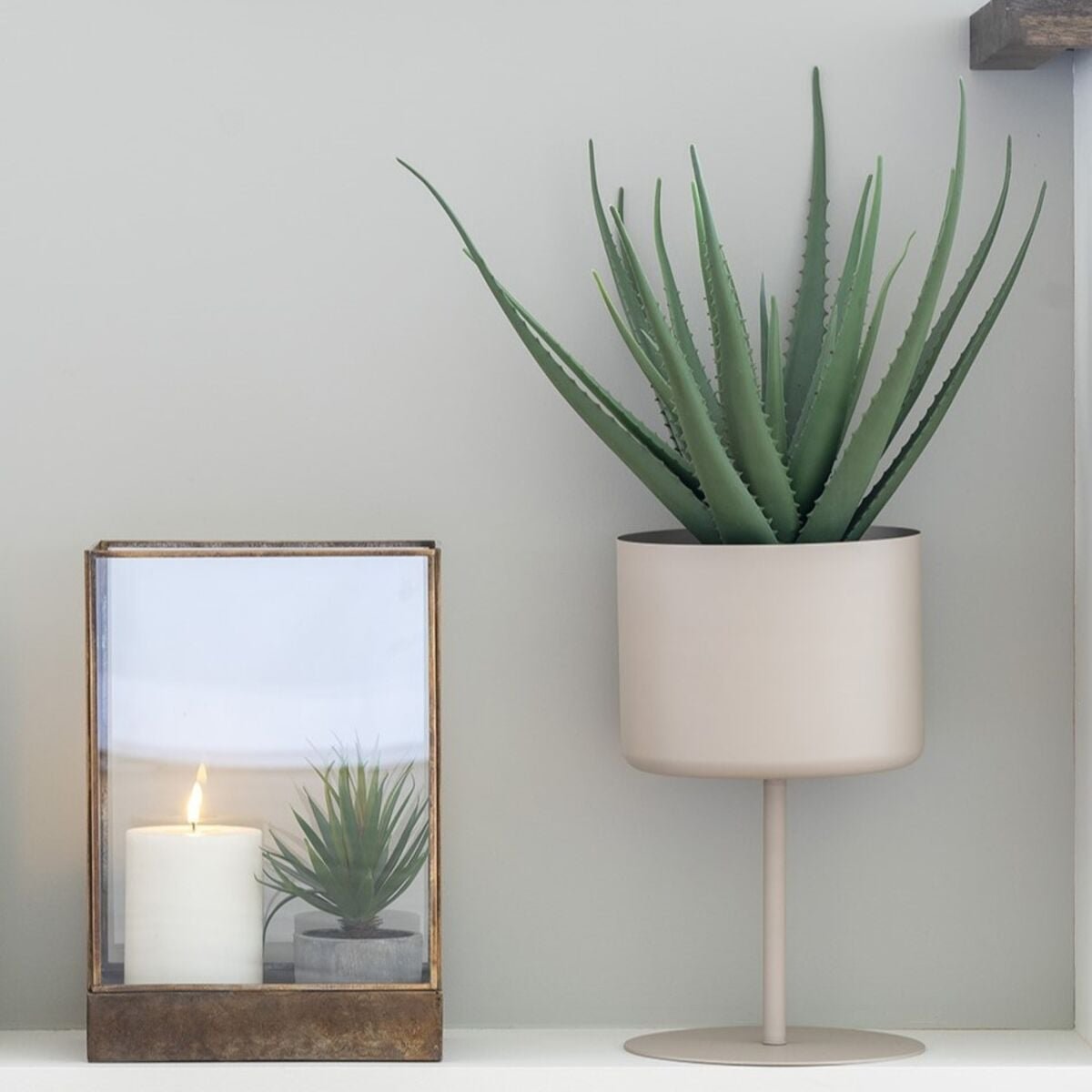 house-nordic-aloe-vera-tekokasvi-korkeus-51-cm