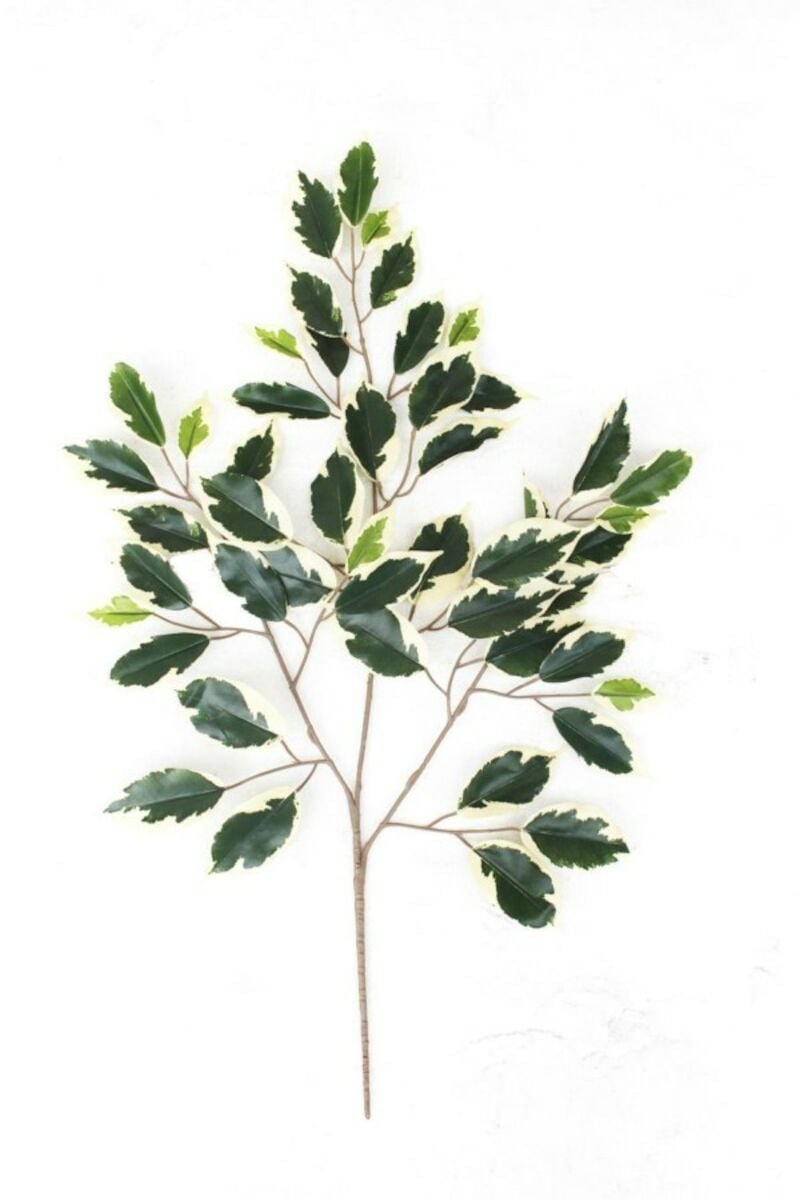 limoviikuna-oksa-tekokasvi-kirjava