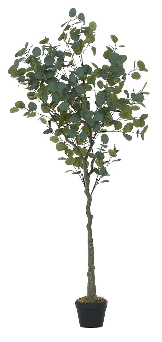 eukalyptus-tekokasvi-165-cm-vihrea
