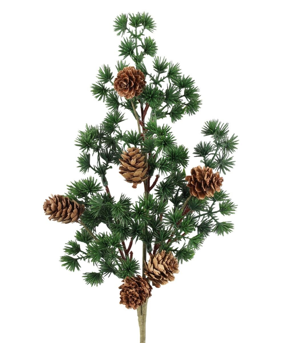 winteria-havuoksa-kavyilla-50-cm