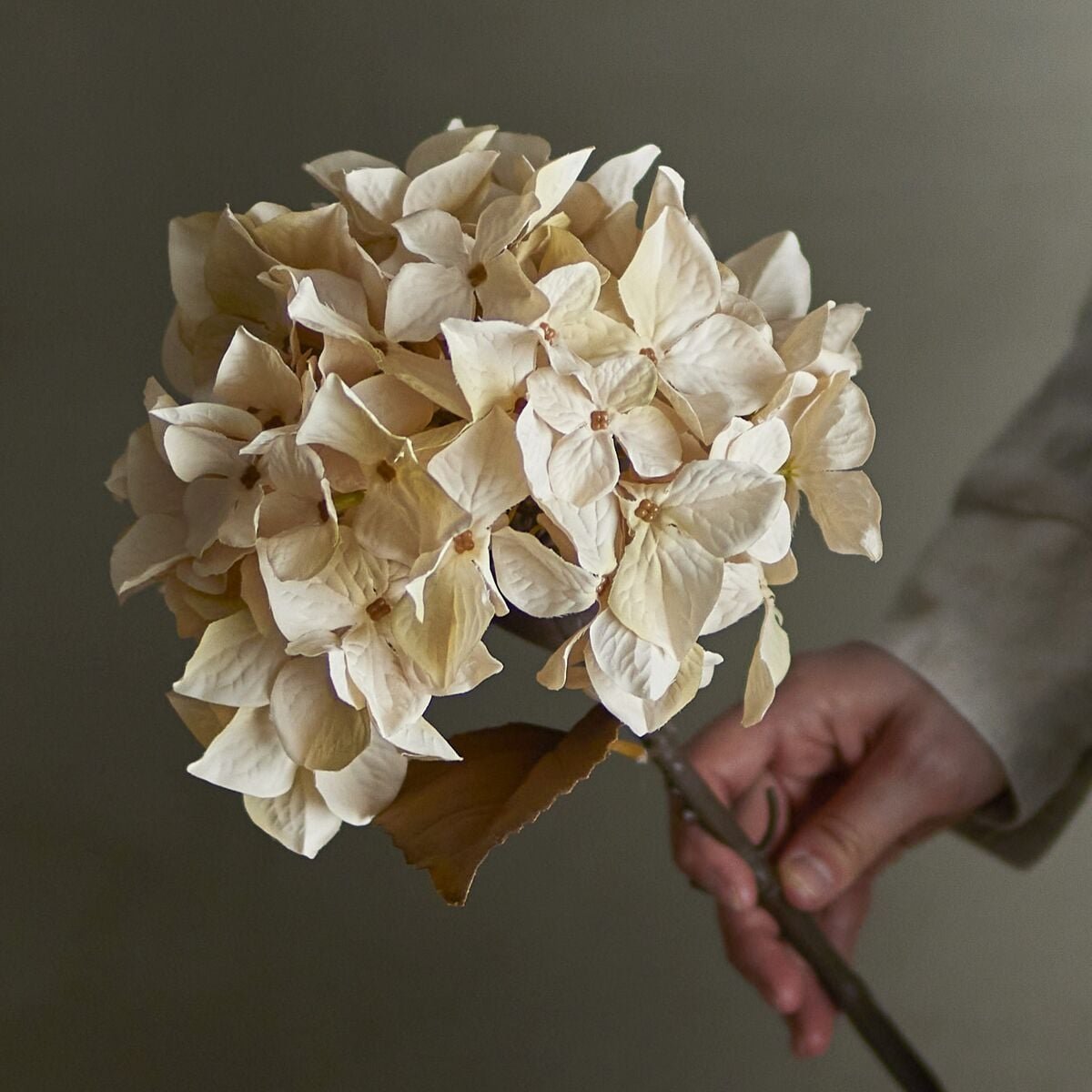 bloomingville-hortensia-tekokukka-oksa-luonnonvari