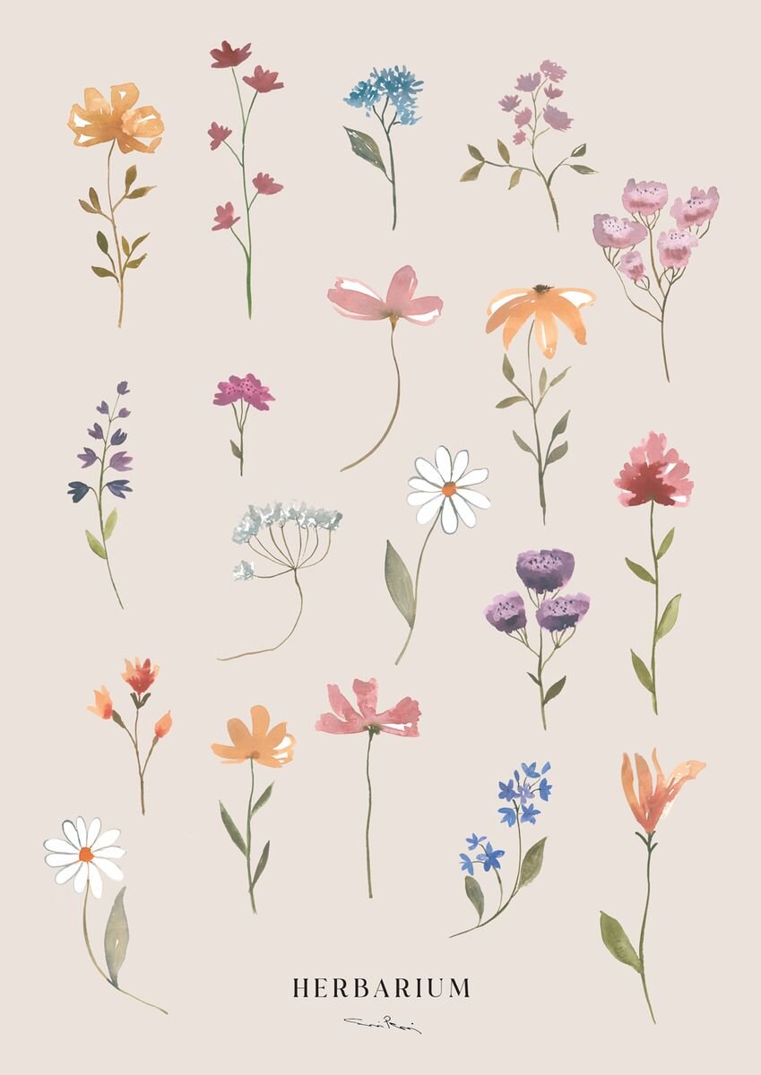 kaverini-herbarium-juliste-30x40-cm