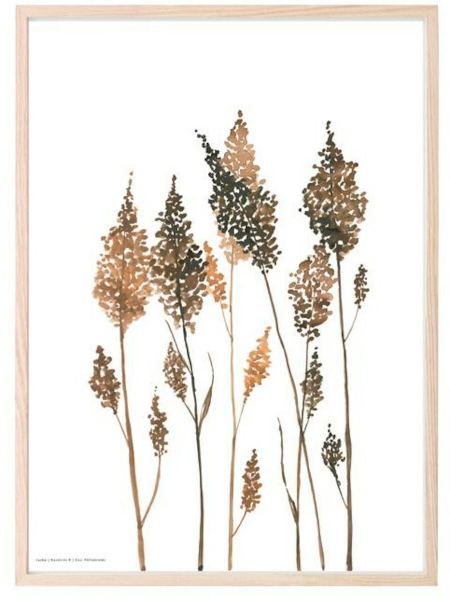 kaverini-ruska-juliste-50x70-cm