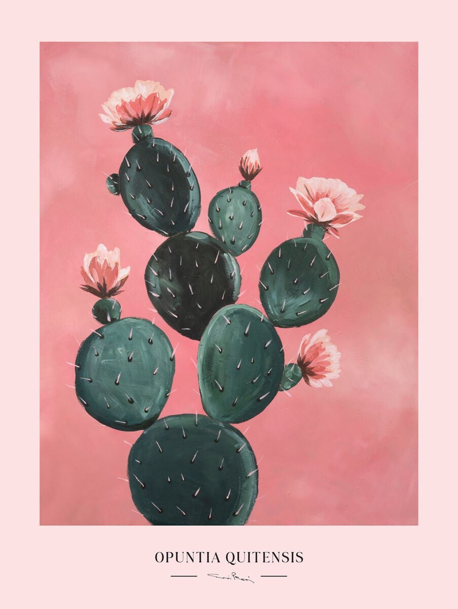 kaverini-kaktus-juliste-50x70-cm