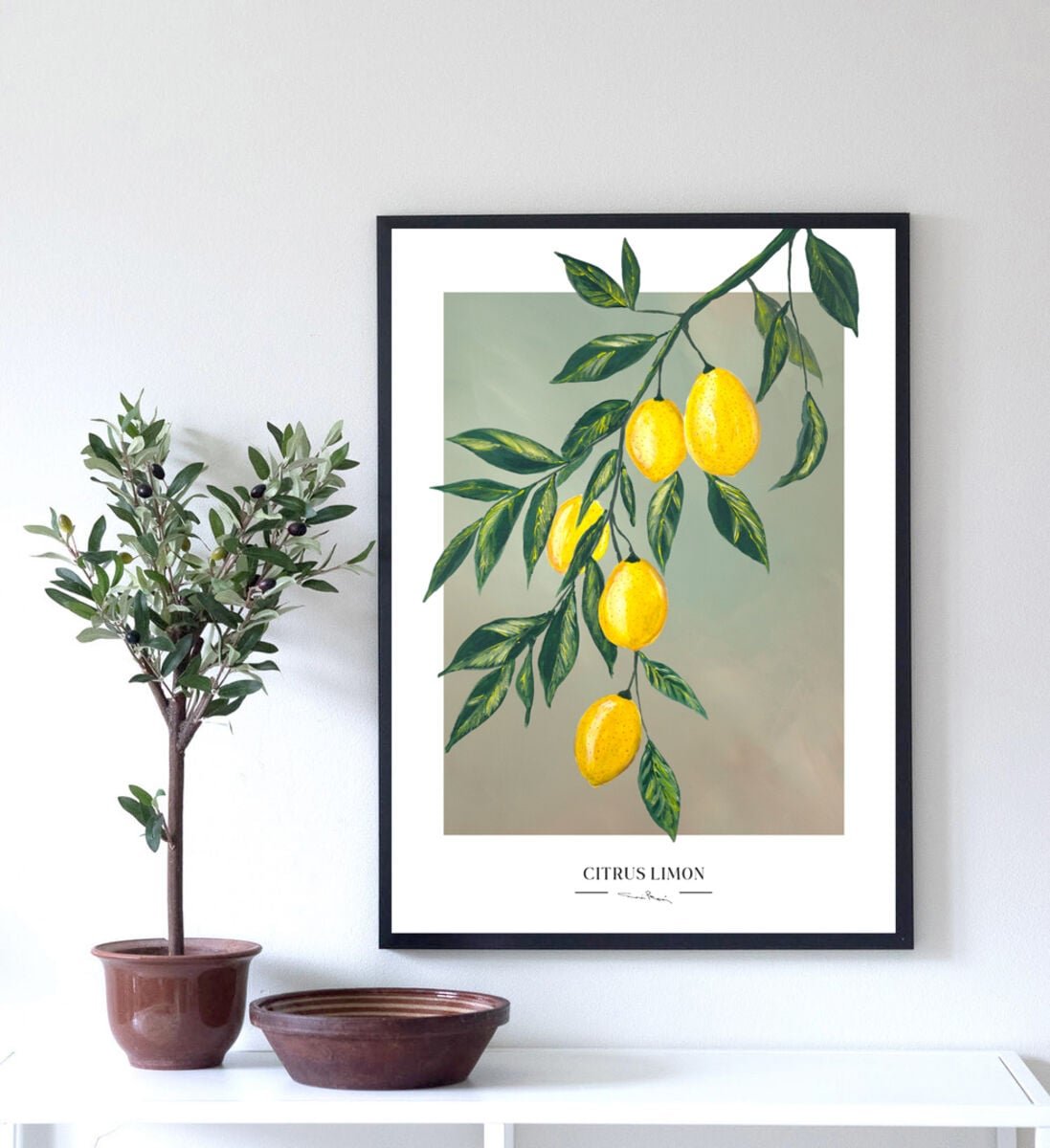 kaverini-sitruspuu-juliste-50x70-cm