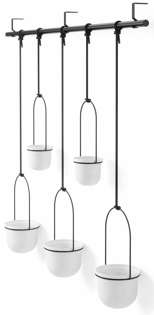 umbra-triflora-roikkuva-kukkateline-iso-valkoinen-musta
