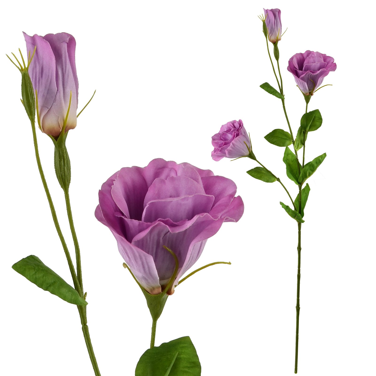 Tekokukka kumitettu MONDEX Viridis Eustoma 70 cm 1 kpl