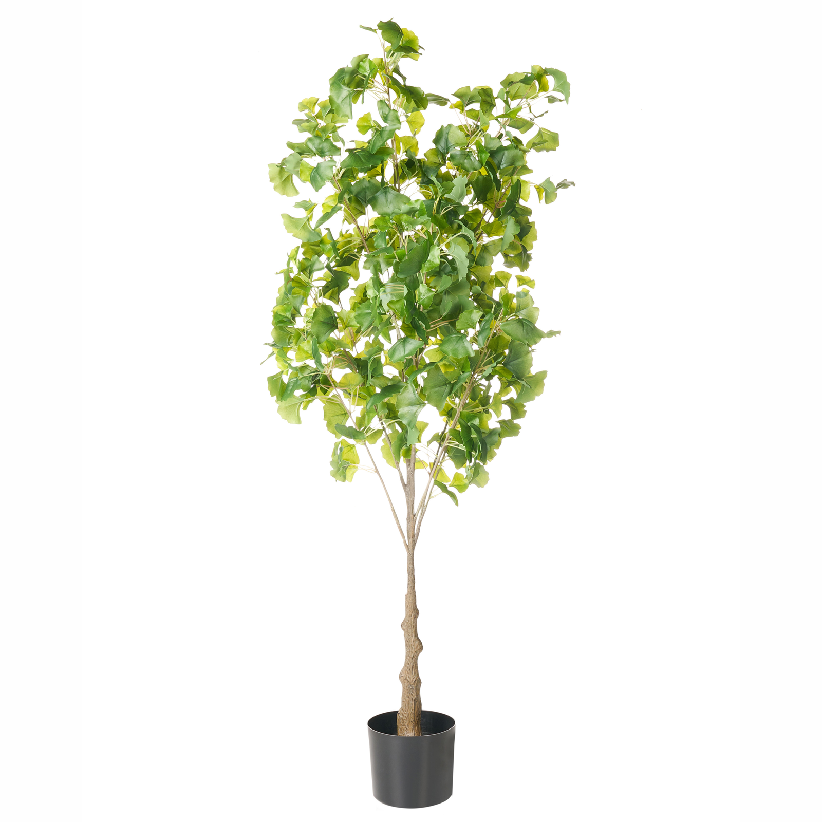 Tekokasvi GINKGO TREE 150 cm Vihreä