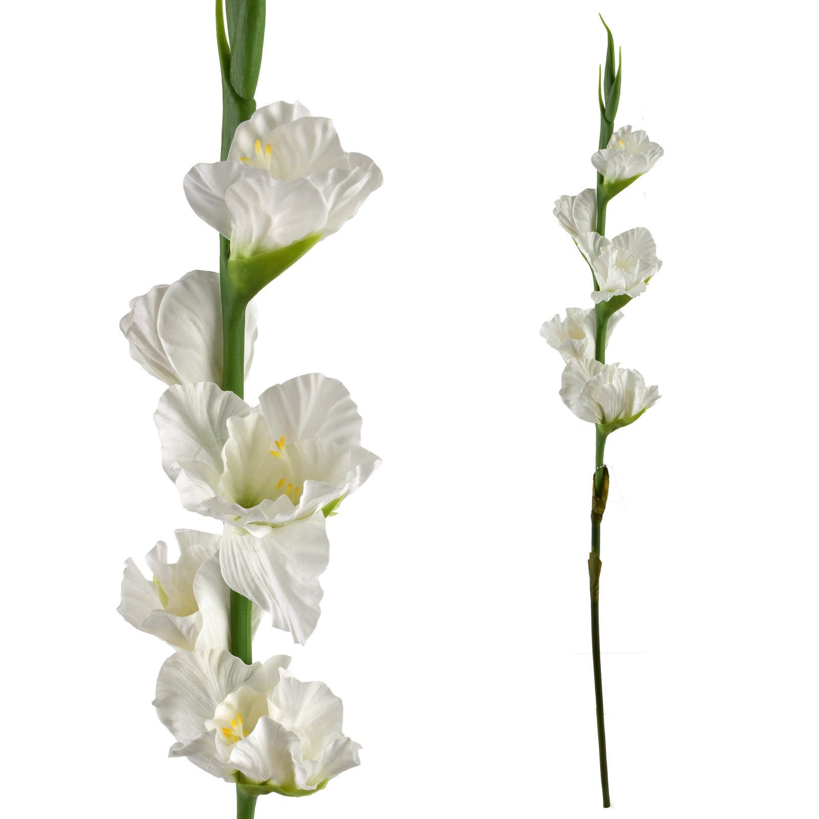 Tekokukka kumipintainen Viridis gladiolus 85 cm valkoinen 1 kpl