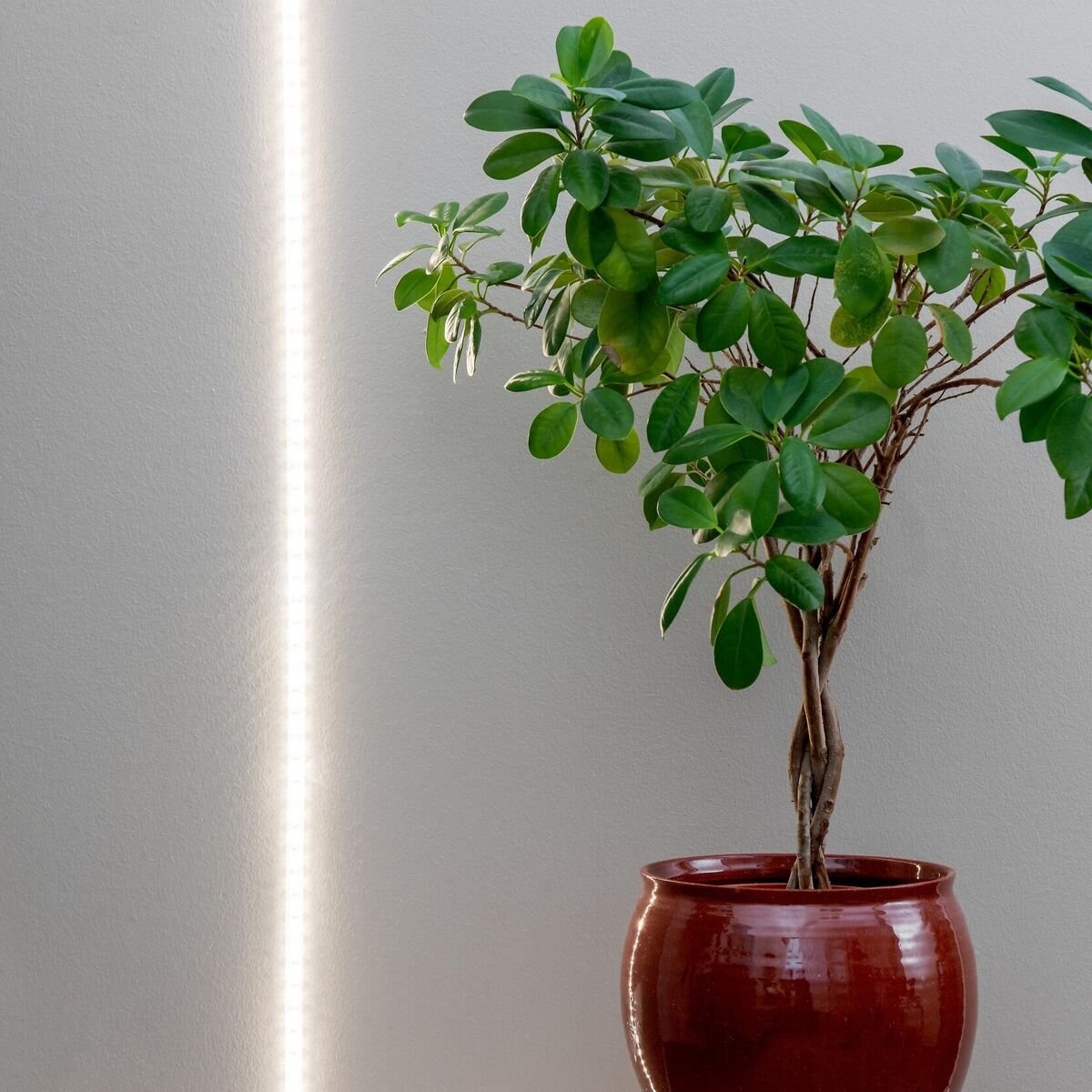 Airam LED kasvivalonauha 2 m