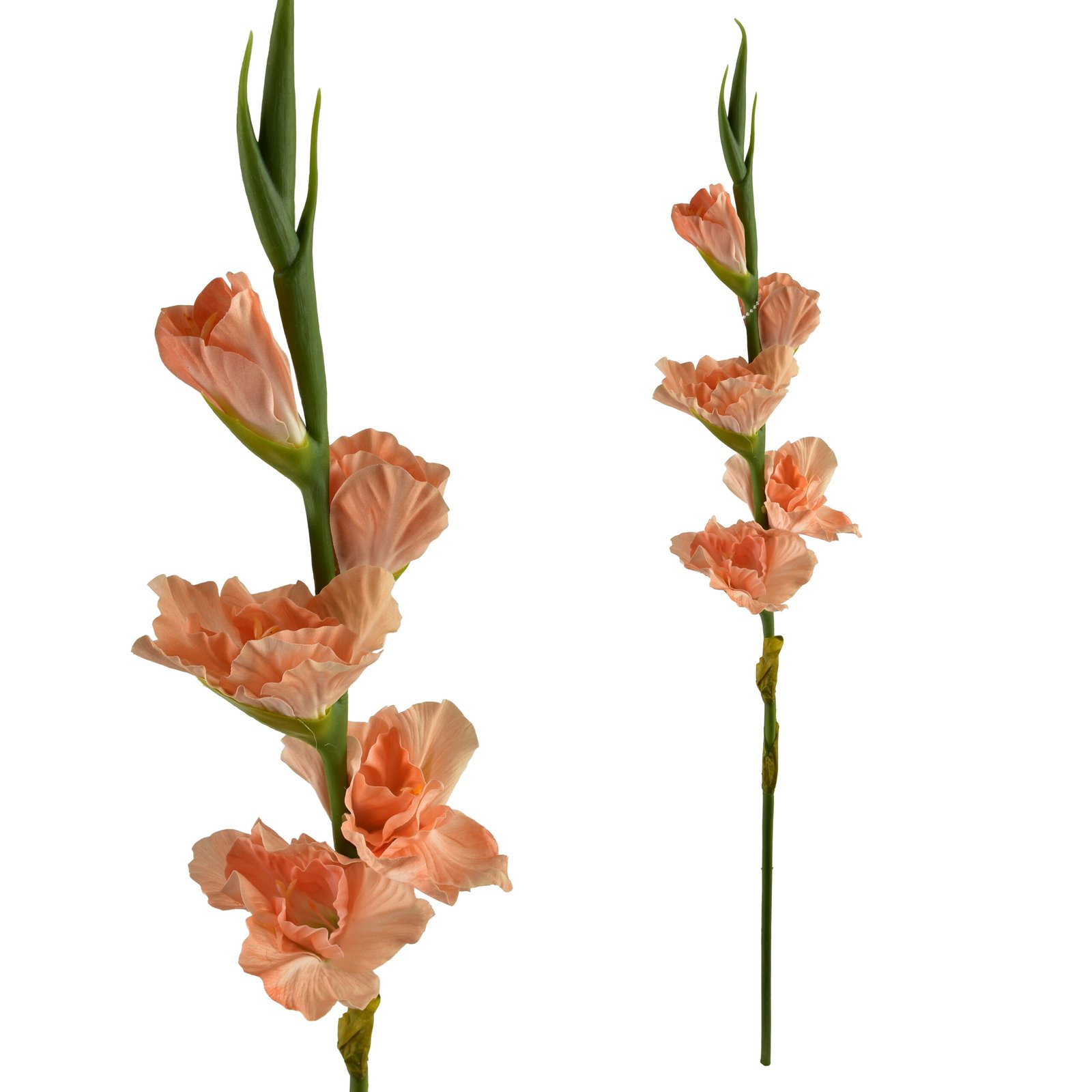 Tekokukka kumitettu MONDEX Viridis miekkalilja 85 cm 1 kpl
