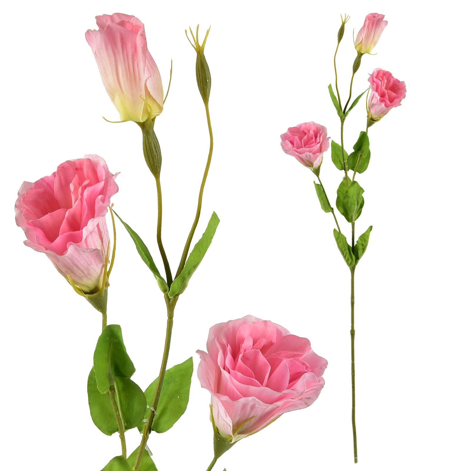 Tekokukka kumitettu MONDEX Viridis Eustoma 70 cm 1 kpl