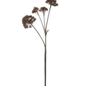 Mr Plant, Angelica Brown -leikkokasvi 125 cm