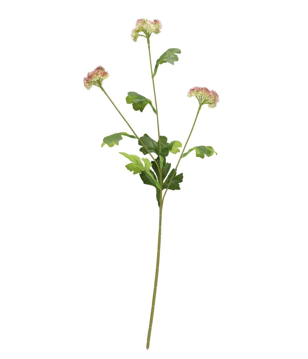 4Living Maksaruoho oksa 60 cm vihreä