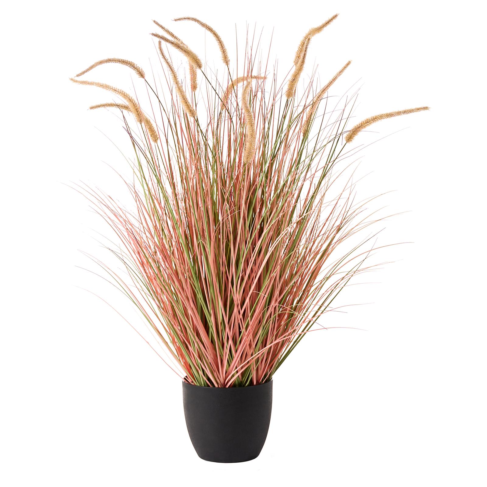 Tekokasvi BRISTLEGRASS 120 cm Oranssi