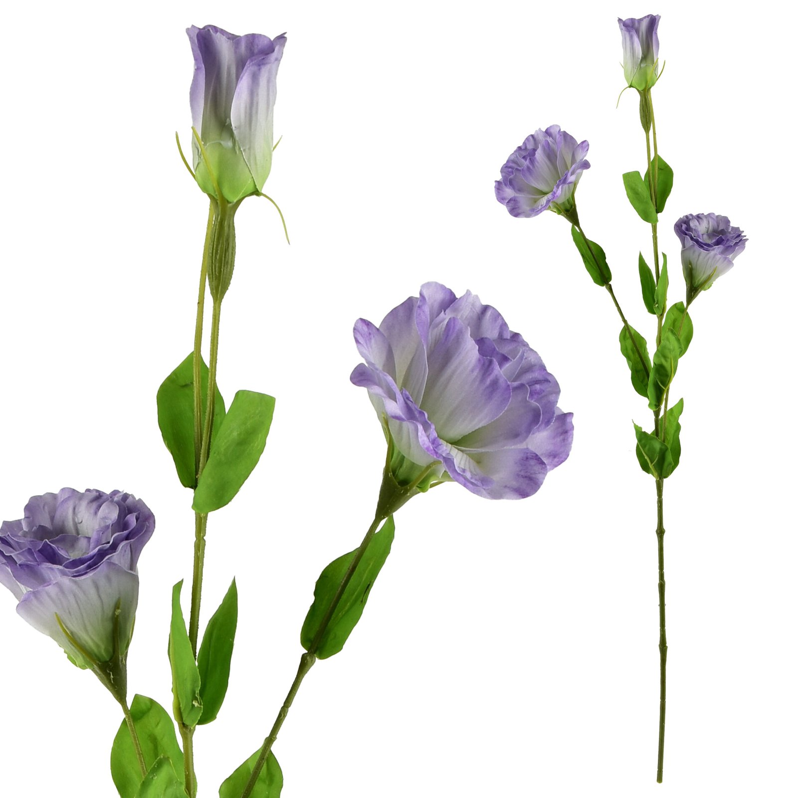 Tekokukka kumitettu Viridis Eustoma 70 cm 1 kpl