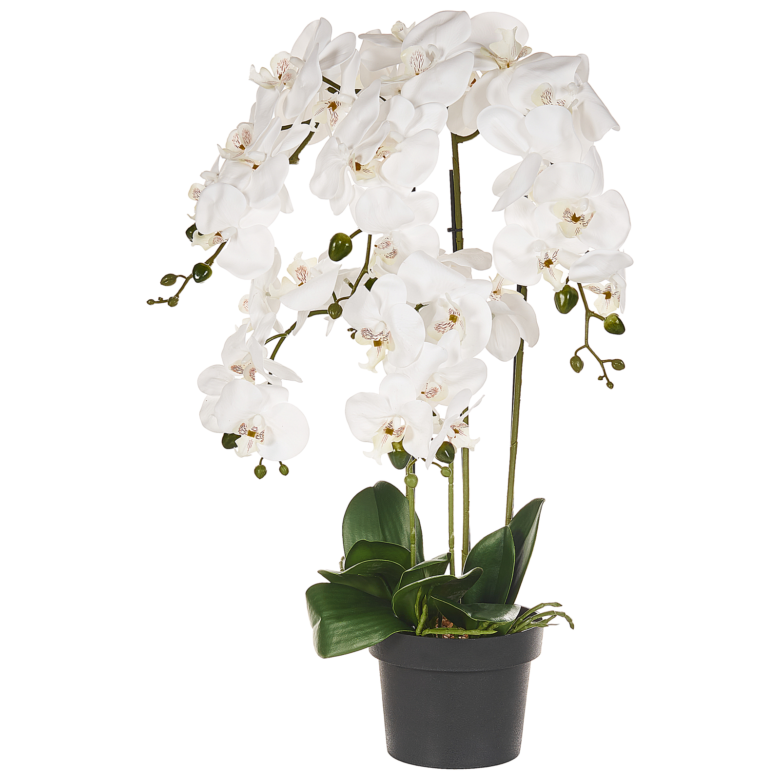 Tekokasvi ORCHID 63 cm Valkoinen