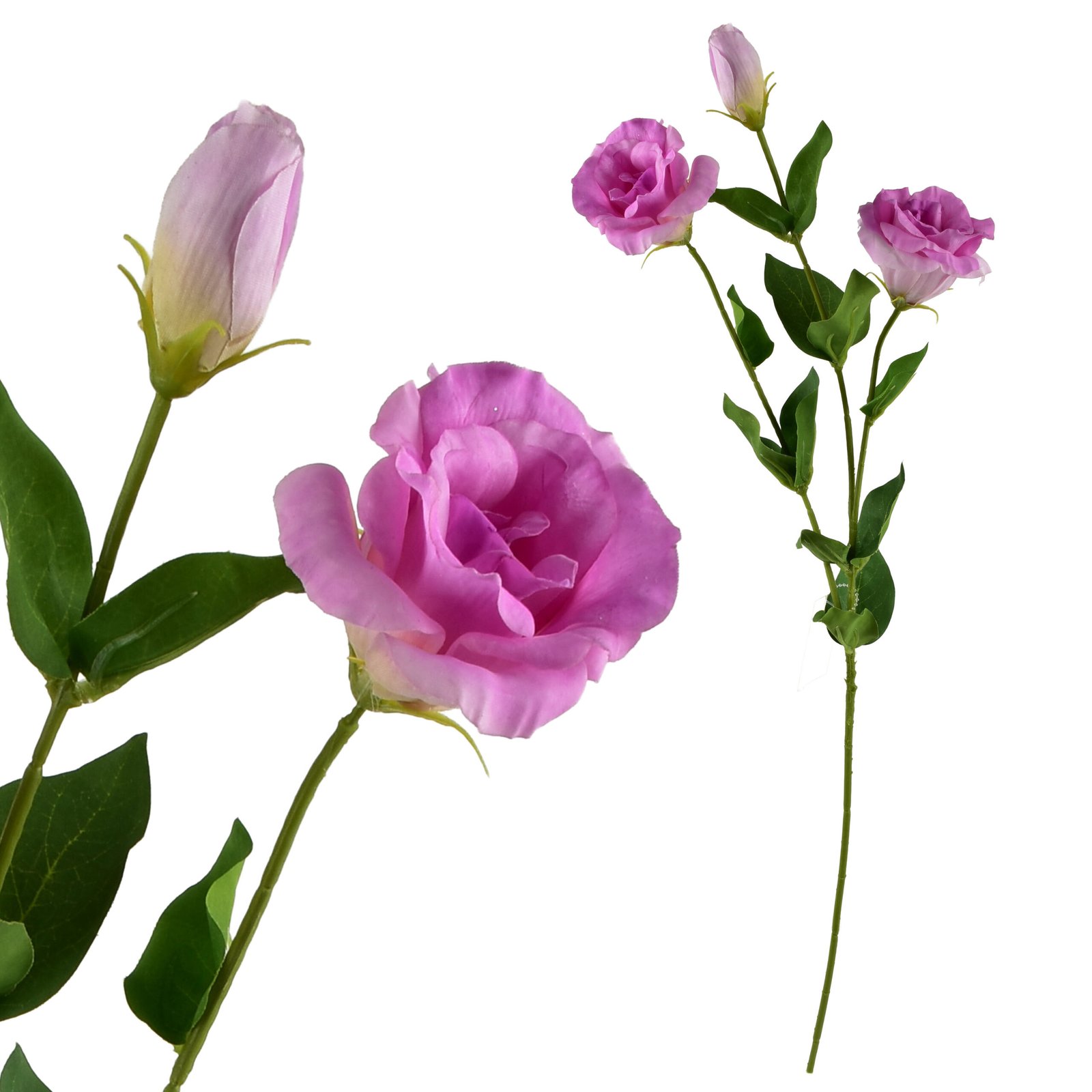 Tekokukka kumipintainen Viridis Eustoma 70 cm 1 kpl