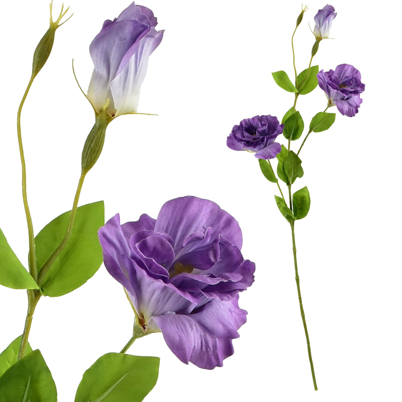 Tekokukka kumipintainen Viridis Eustoma 70 cm 1 kpl