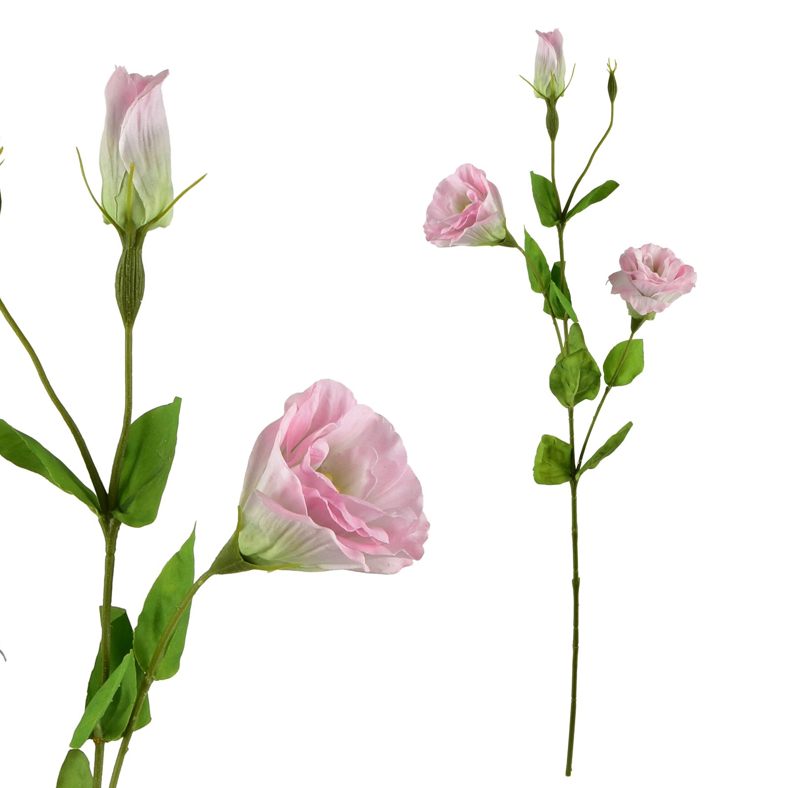 Tekokukka kumitettu Viridis Eustoma 70 cm 1 kpl