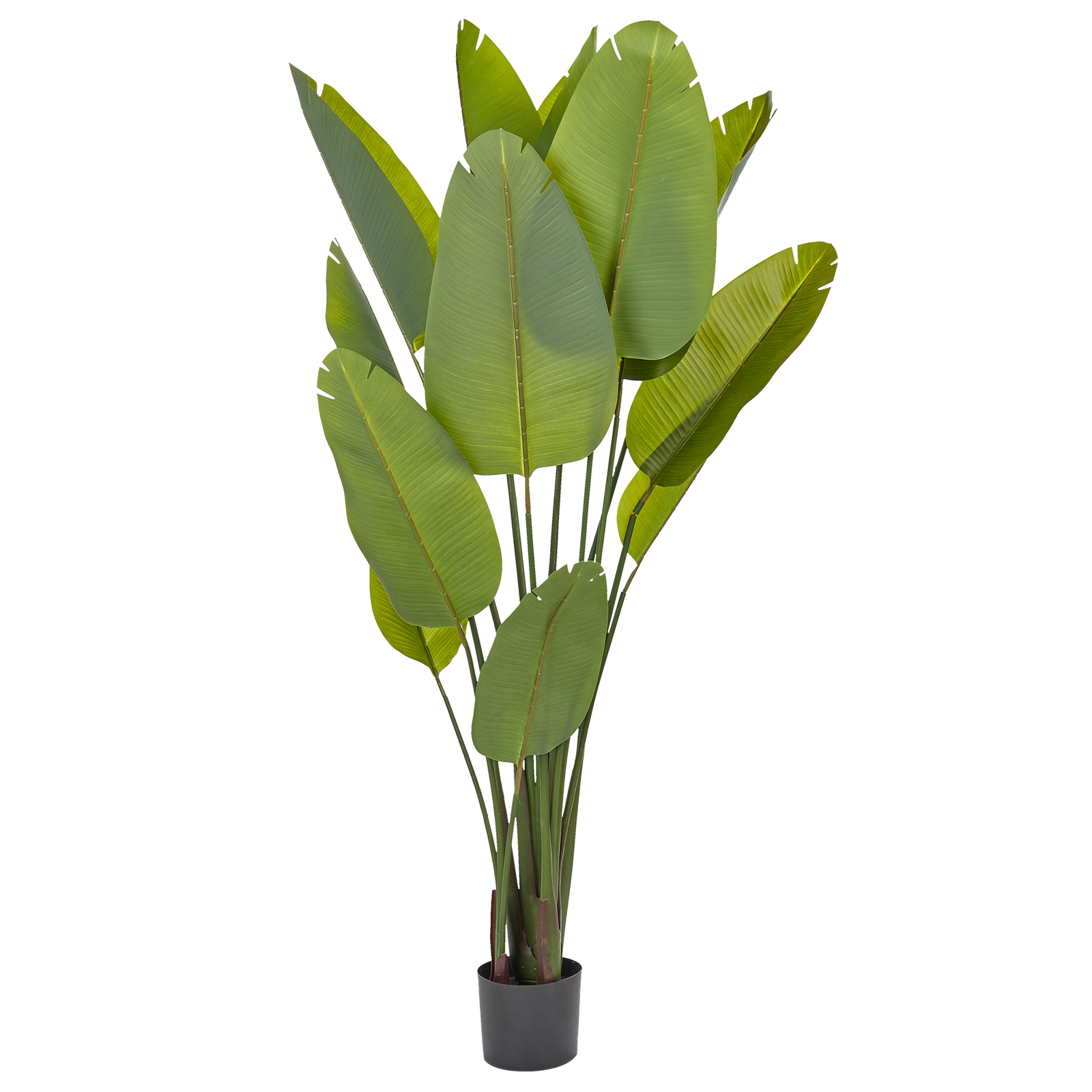 Tekokasvi BANANA TREE 187 cm Vihreä