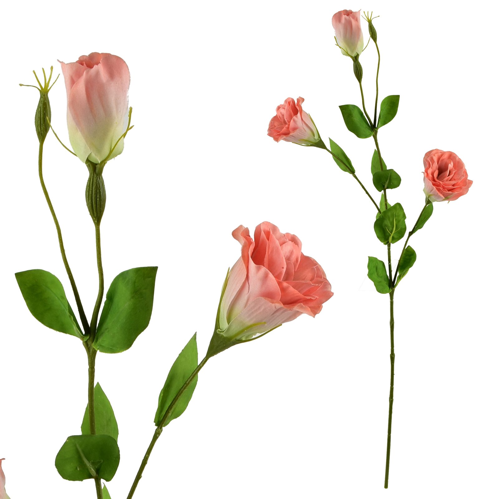 Tekokukka kumitettu Viridis Eustoma 70 cm 1 kpl