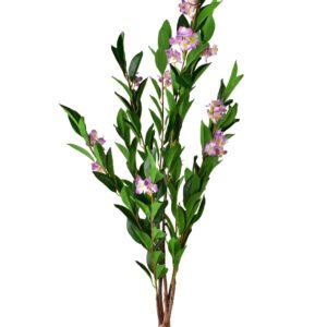 Tekokukka Prima VIRIDIS ruukussa 14x14x118 cm vaaleanpunainen 1 kpl